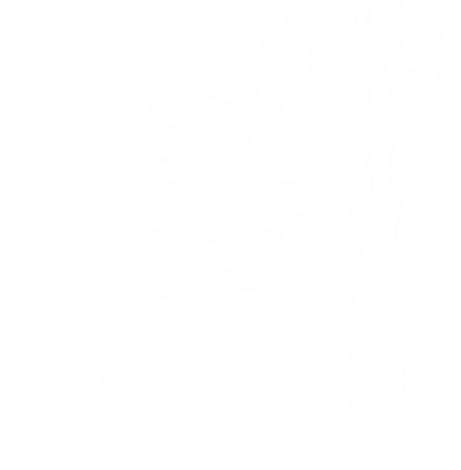 Somerset Smiles Tree Logo